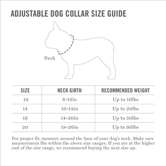 Martha Stewart Gray and Blue Adjustable Nylon Buckle Dog Collar Size 14 - Picture 4 of 12